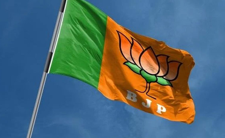 bjpflag1.jpg