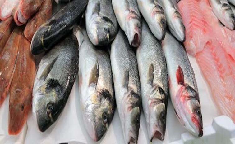 fish3.jpg