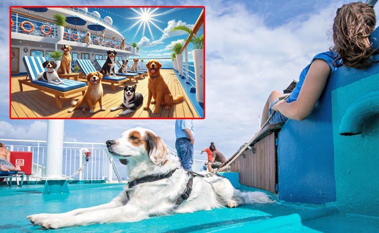 Margaritaville-at-Sea.jpg