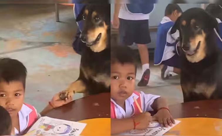 dog.jpg