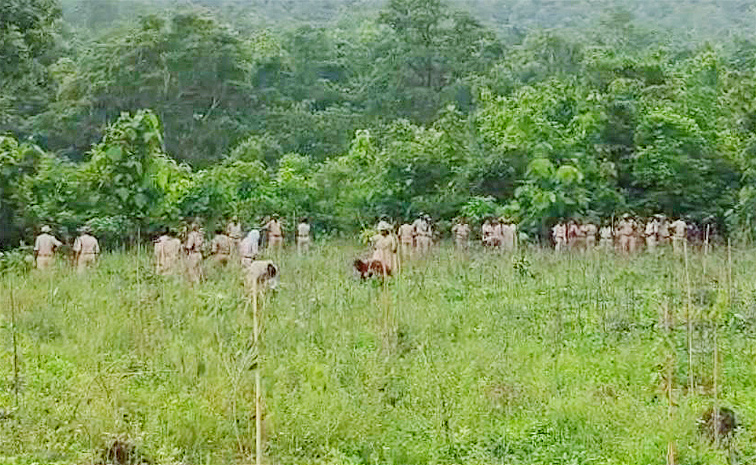 Podu-Farmers.jpg