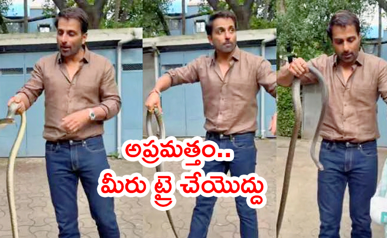 Sonu-sood-Snake.jpg