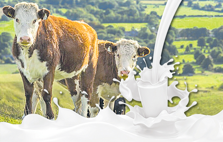 milk.jpg