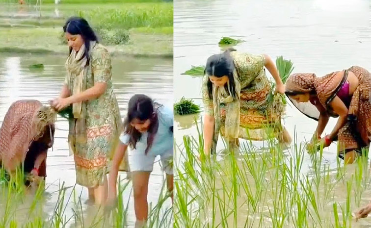 priya-sarojs.jpg
