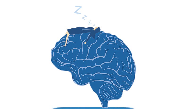 BRAIN.jpg
