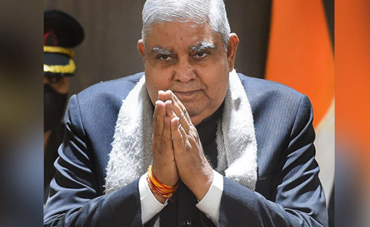 dhankhad.jpg