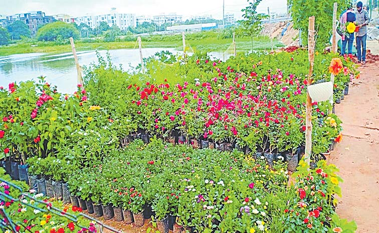 nursery.jpg