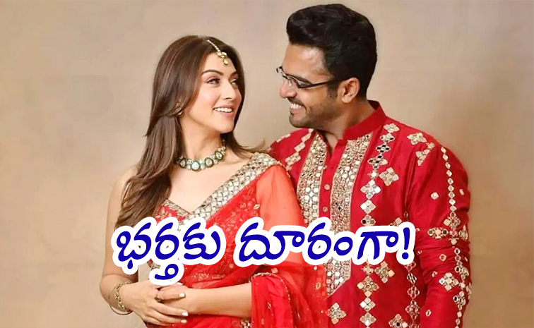 Hansika-Motwani-Husband.jpg
