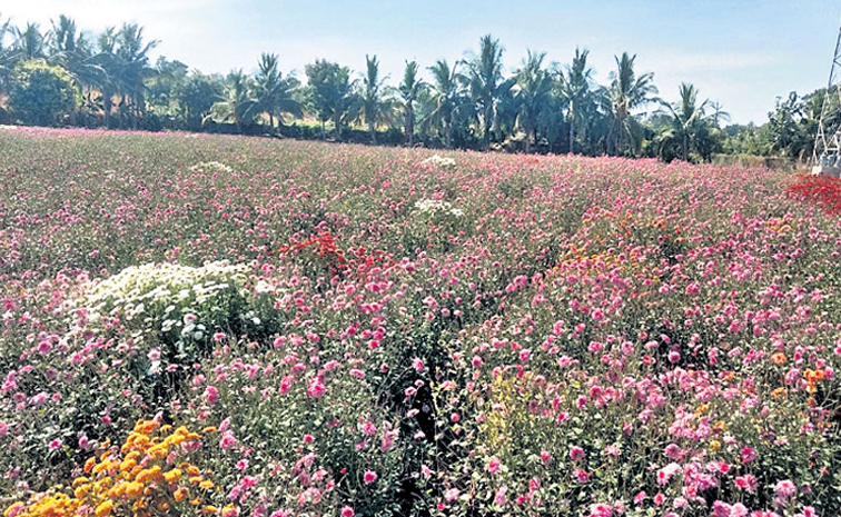 flowers-demand.jpg