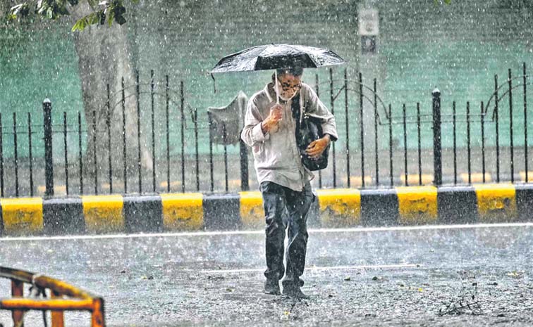 rain_0.jpg