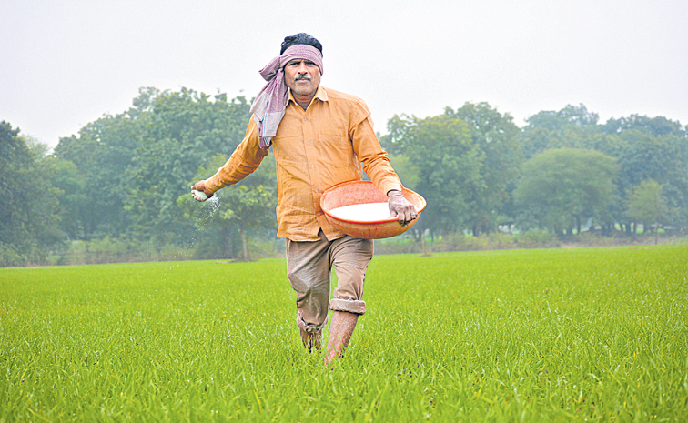 FARMER--1344108812.jpg