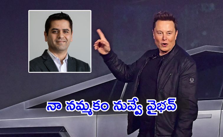 musk.jpg