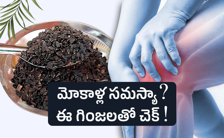 Mahabeeraseeds.jpg