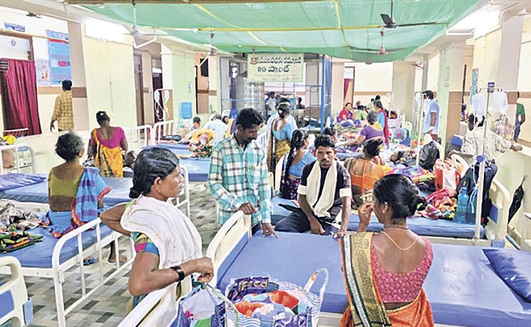 Malaria-cases.jpg