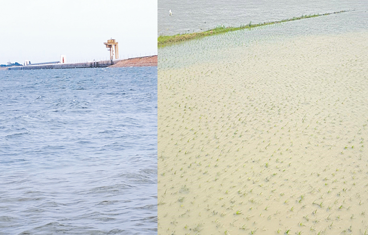 water.jpg