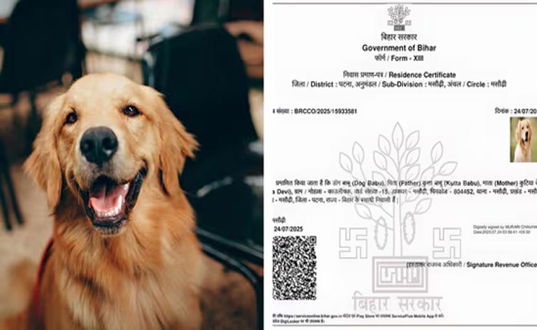 dogbabu.jpg