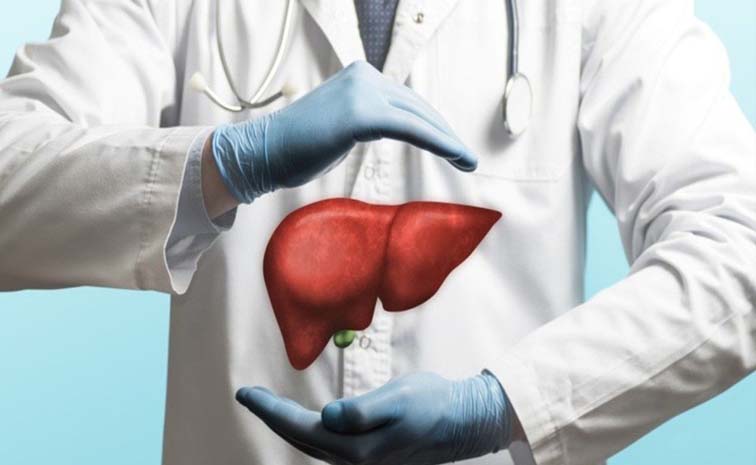 liver.jpg