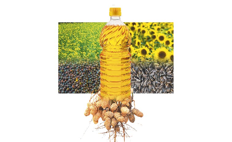 GRAIN-OILS.jpg