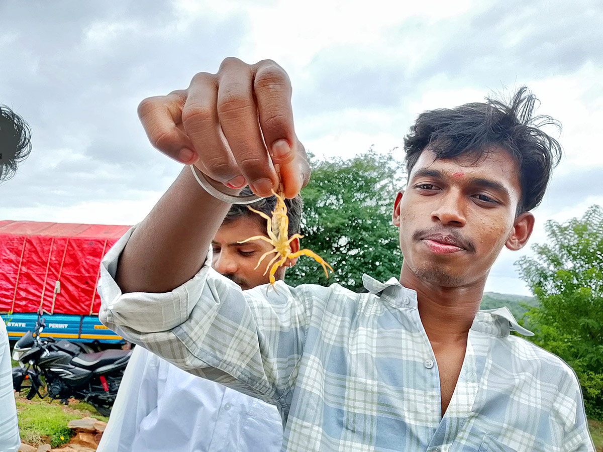 Tella_20Panchami_20in_20Mahabubnagar__20_288_29.jpg 8