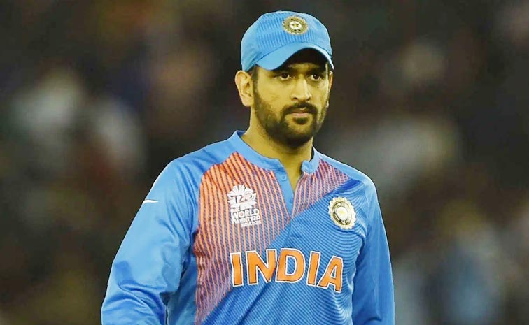 msd.jpg