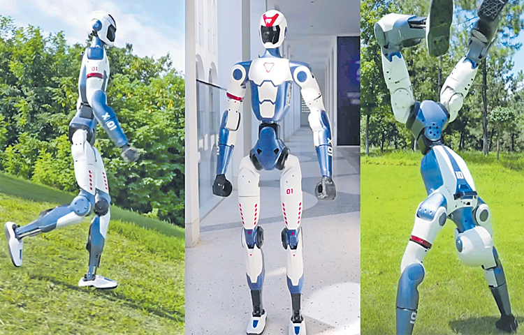 robo.jpg