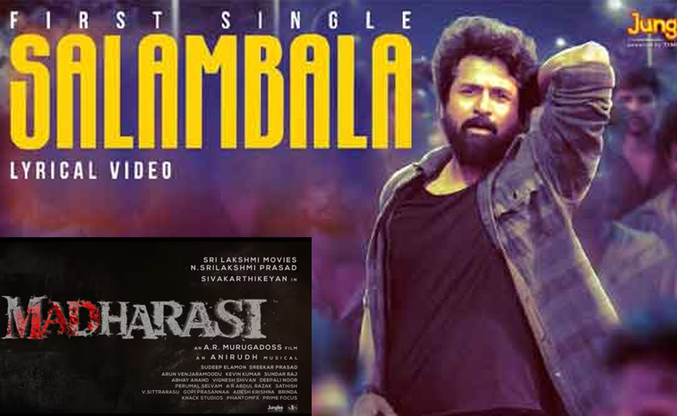 madarasi.jpg