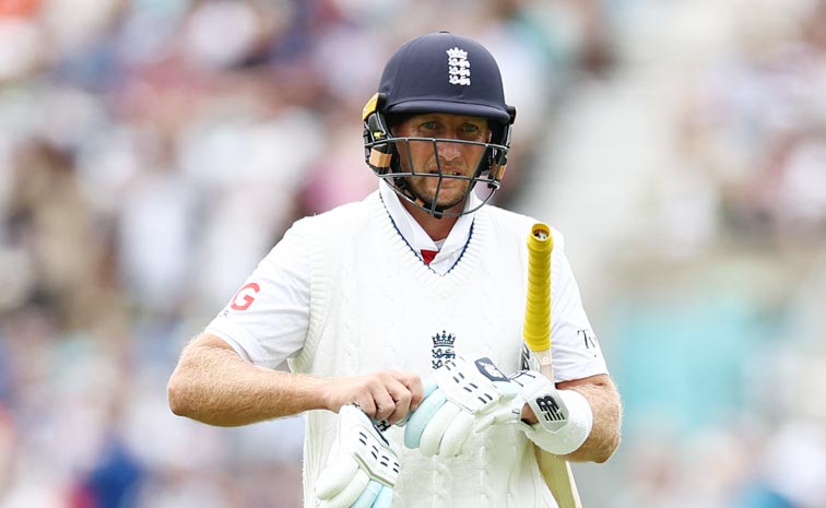 root44.jpg