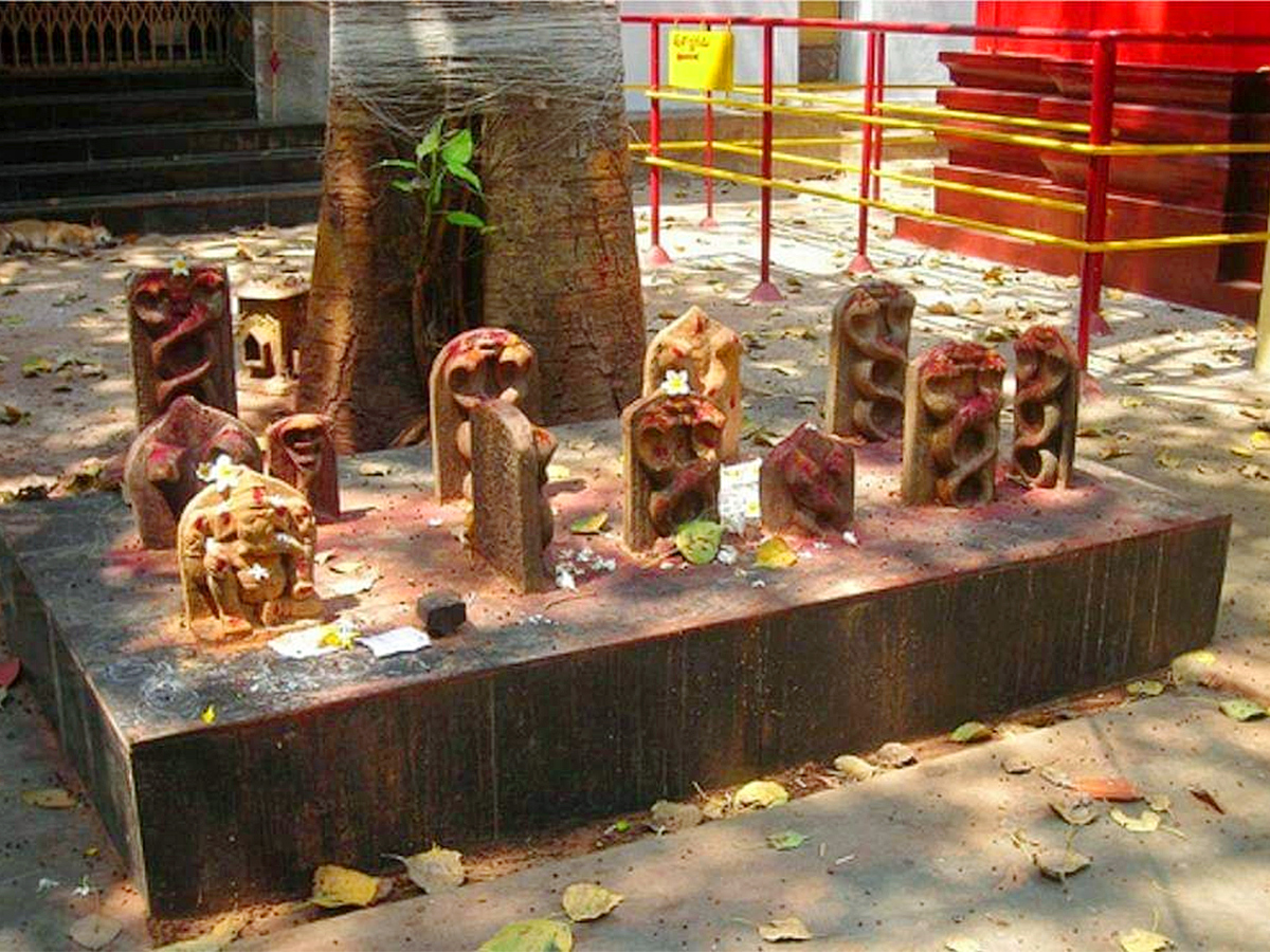 Natta_20Rameswara_20Temple_20Penumantra_20West_20Godavari_20District_8.jpg 8