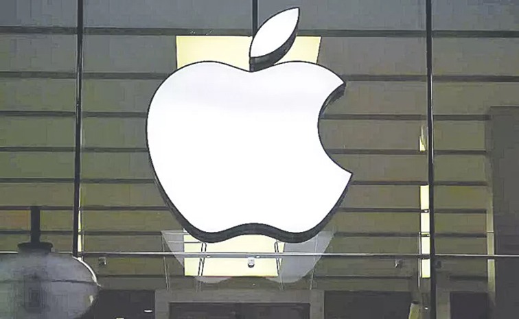 apple01.jpg