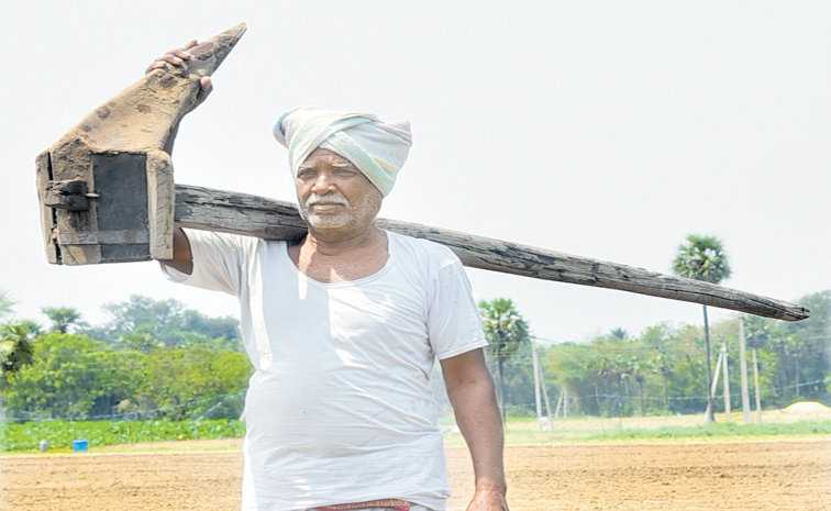 farmer.jpg
