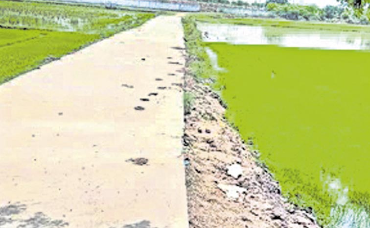 ROAD-TDP-2.jpg