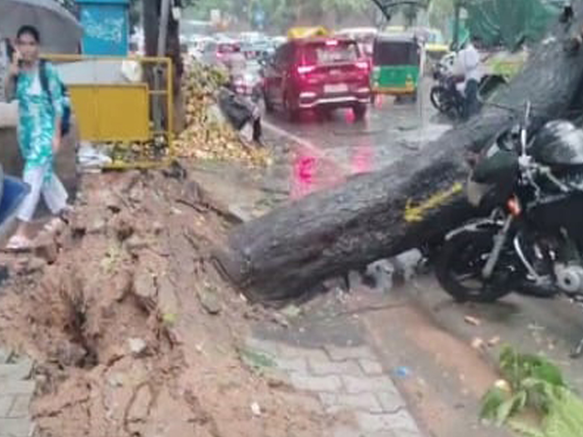 Rains_20in_20Hyd8_0.jpg 9