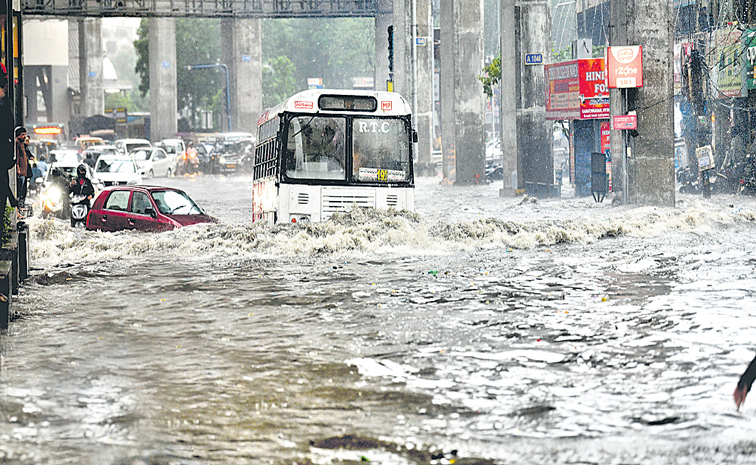 AMEERPET-25R.jpg