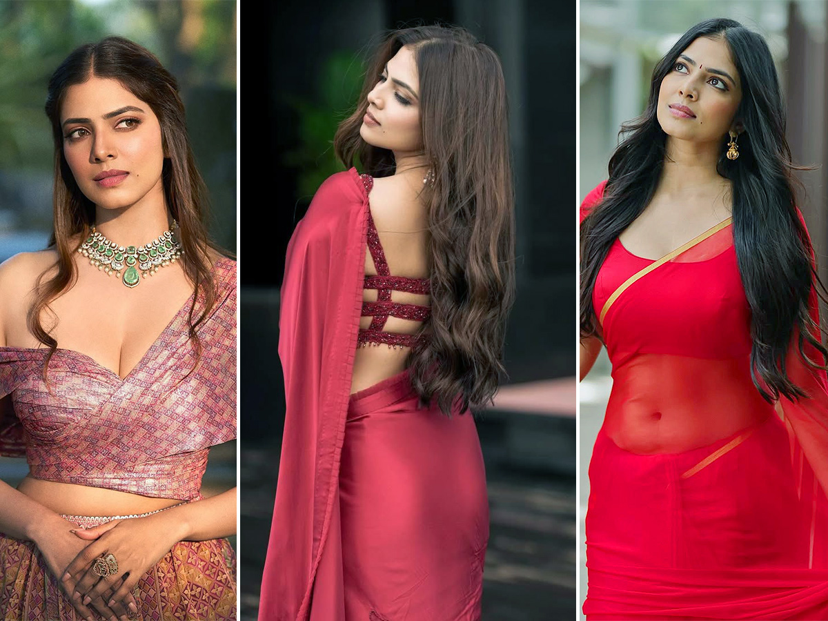 Actress_20Malavika_20Mohanan_20Birthday_20Special_20Photos__20_281_29.jpg 1