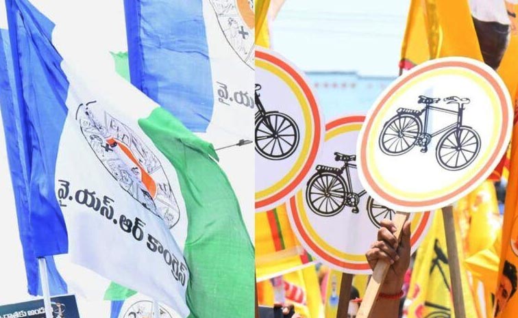 Pulivendula_TDP_News.jpg