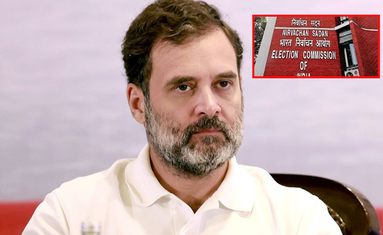 Rahulgandhi_EC2.jpg