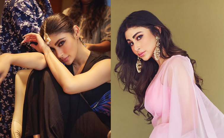 mouniroy1.jpg