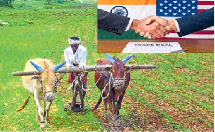 sbi-farm.jpg