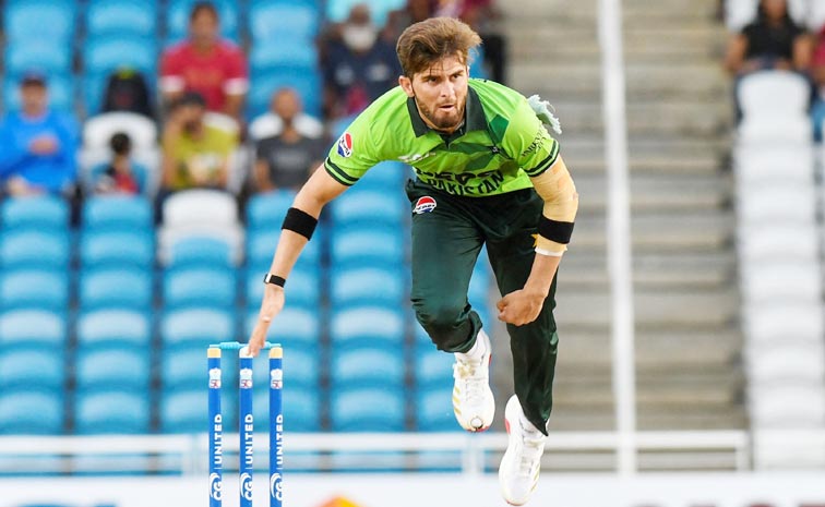 shaheenafridi.jpg