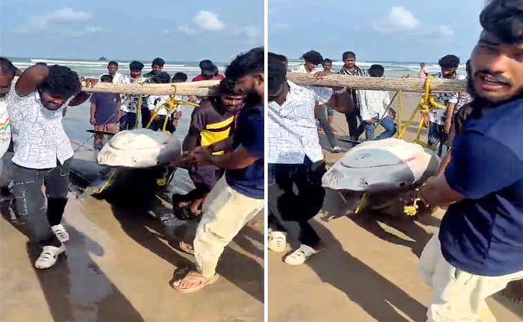 500-Kg-Fish-Caught.jpg