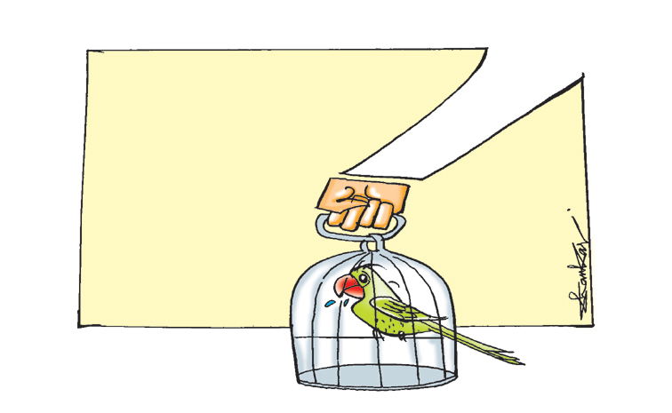 EDIT-SIR-CARTOON-2025-08-09.jpg