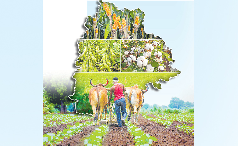 farmer.jpg