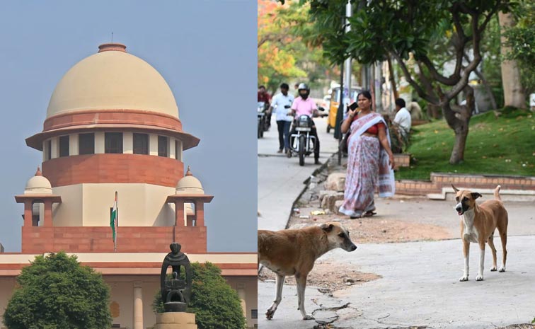 Supreme_Court_SC.jpg