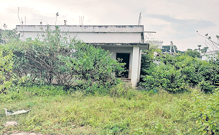 house.jpg