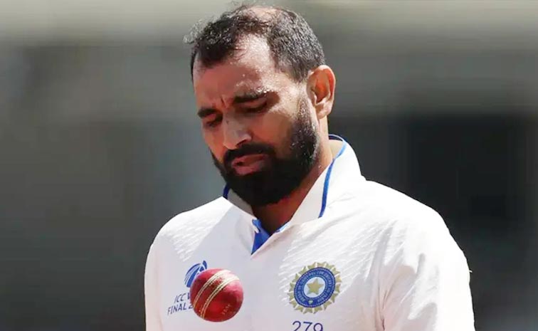 shami.jpg