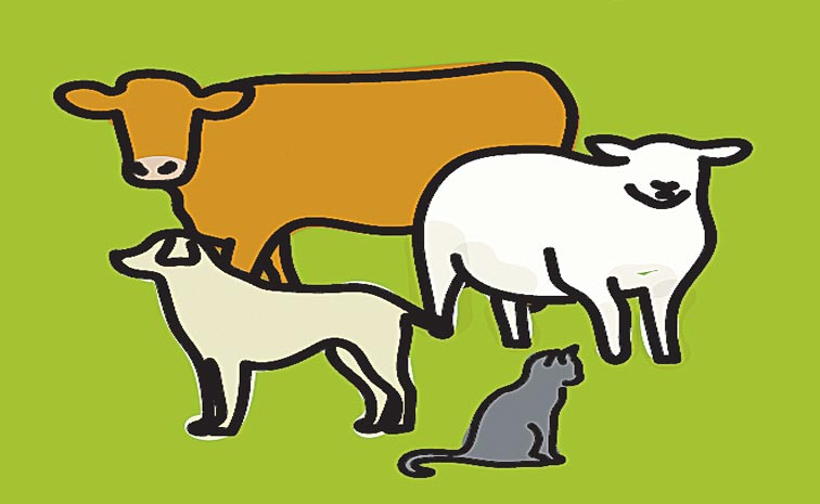 Animals01.jpg