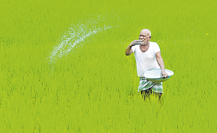 SPRINKLING-FERTILIZER-UREA-.jpg