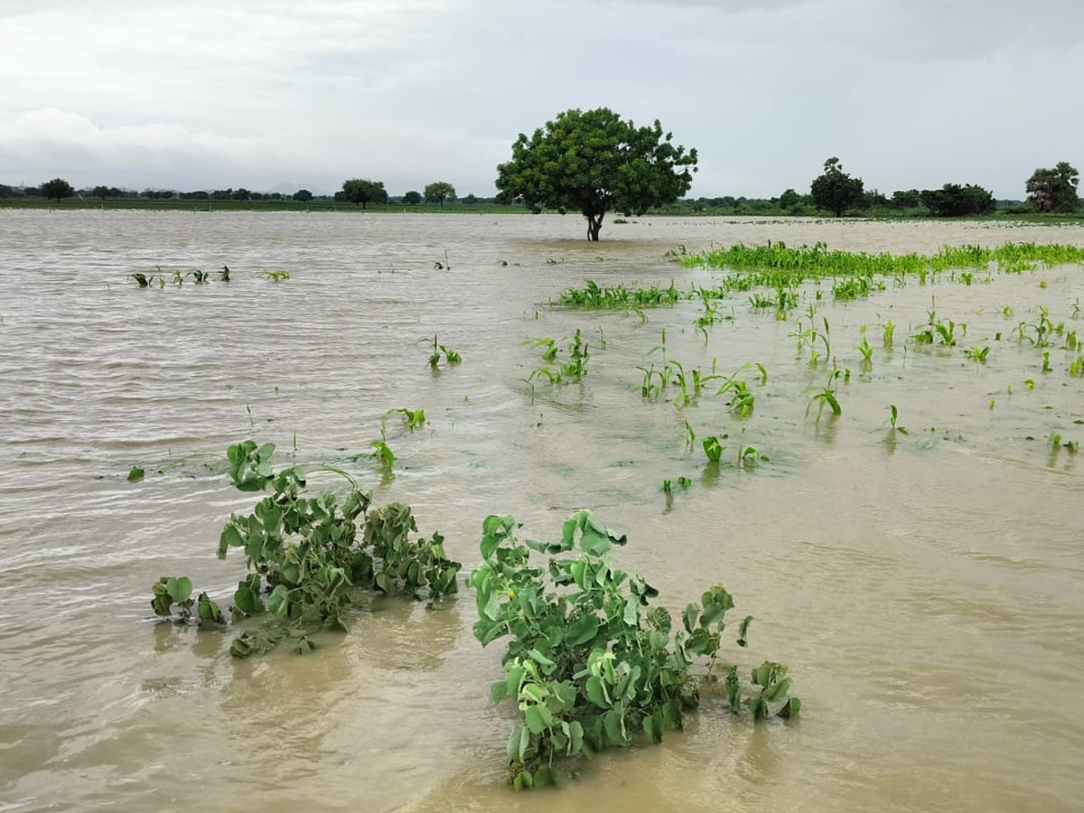 Heavy_20Rains_20In_20Telugu_20States_20Photos_20_2832_29.jpg 33