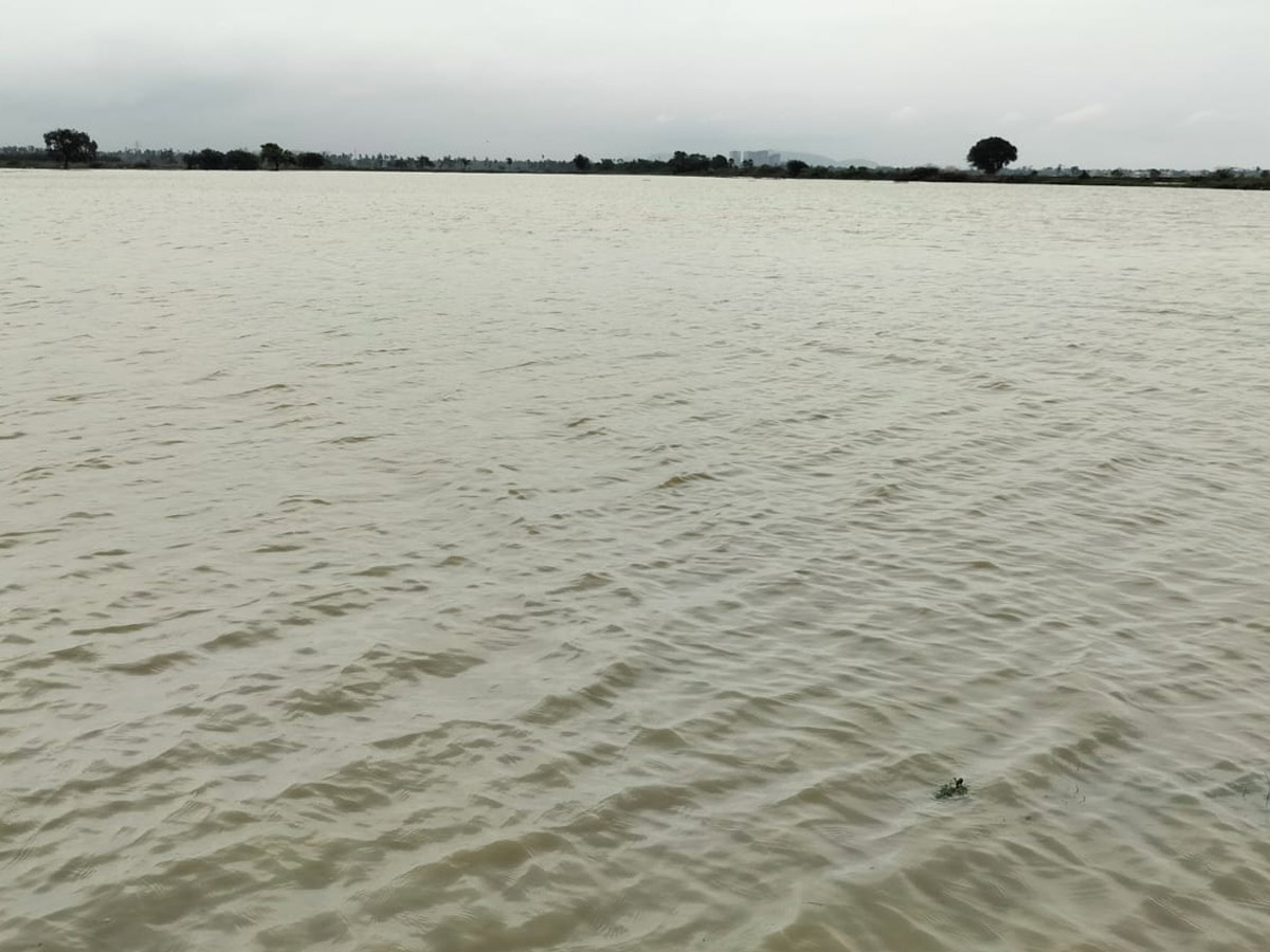 Heavy_20Rains_20In_20Telugu_20States_20Photos_20_2833_29.jpg 34