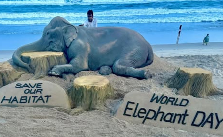 worldelephantday.jpg